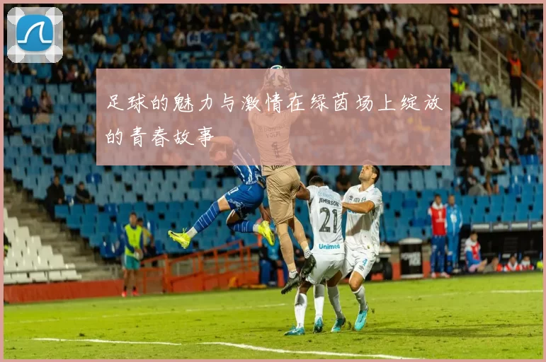 足球的魅力与激情在绿茵场上绽放的青春故事