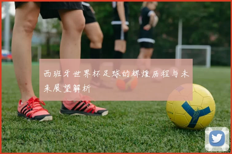西班牙世界杯足球的辉煌历程与未来展望解析