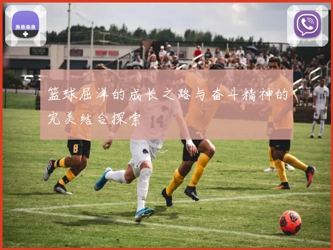 篮球屈洋的成长之路与奋斗精神的完美结合探索